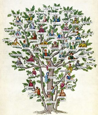 Realistic tree family tree