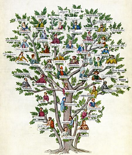 T is for Family TREE | Family Wise Ltd.