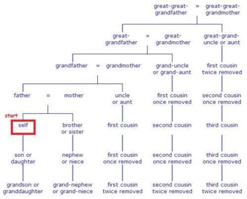 Family Relations Chart
