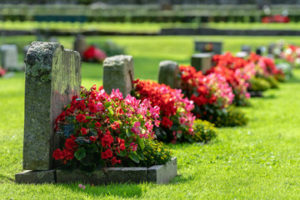gravestones with flowers in a cemetery