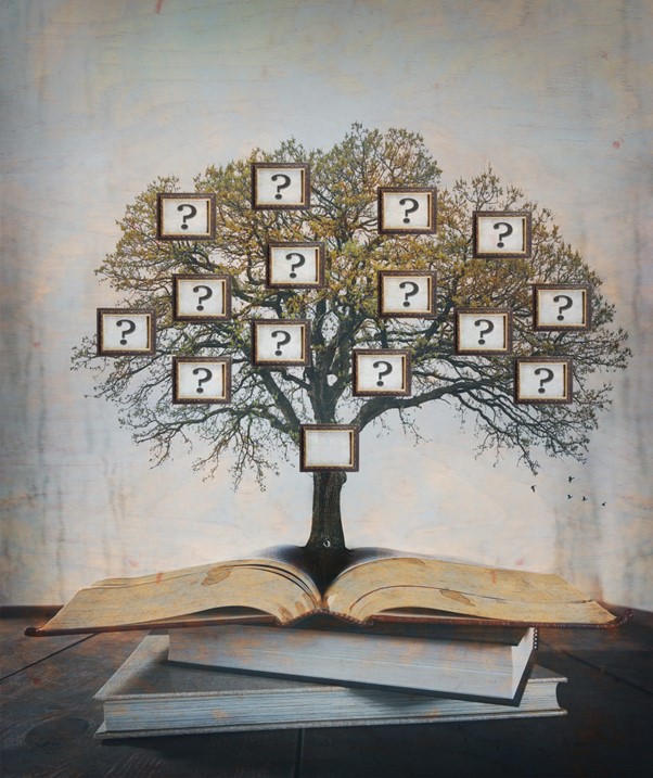 Book with family tree emerging from it
