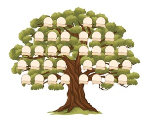 Family tree